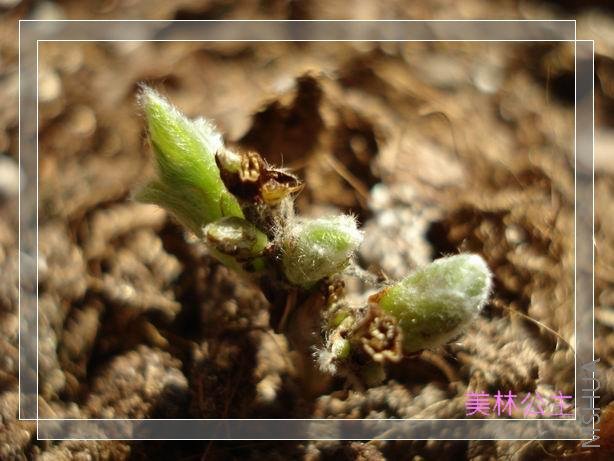 ��������ĽǶ�