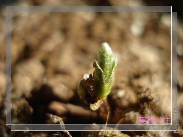 ϣ�������ϲ������ܹ���׳��