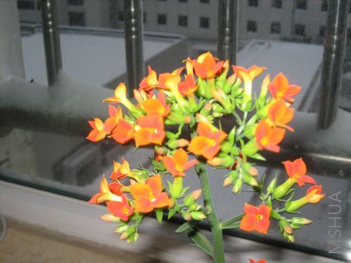 IMG_1552.jpg