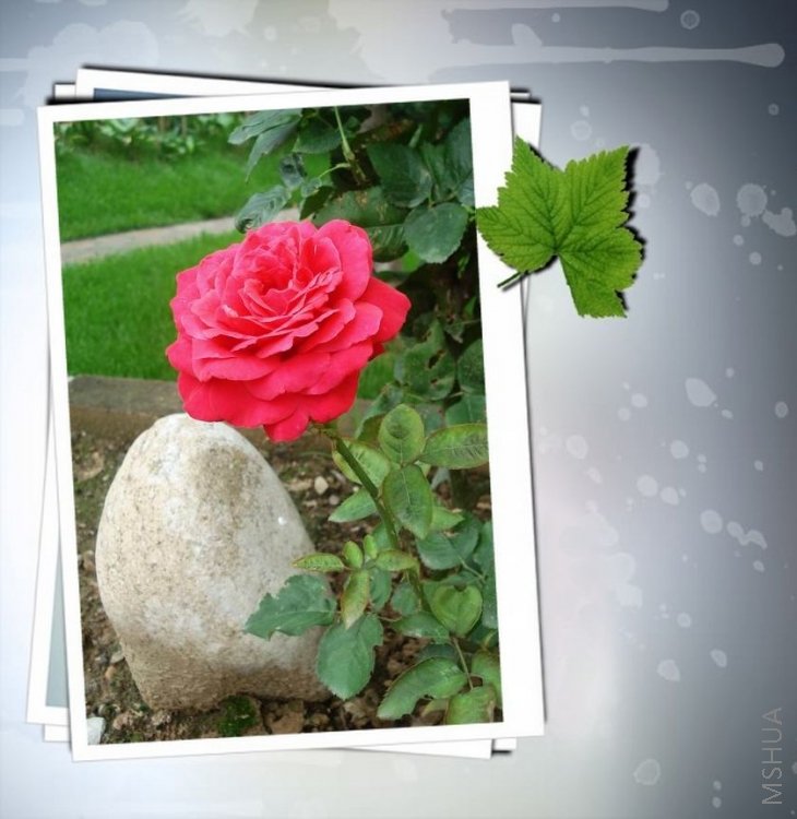 ����Ǵ��¼�����֪�����֣�������ζ�������ڵ�õ����ζ���ǳ�����