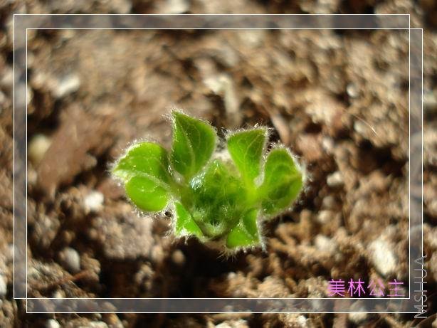 ����Ŀ����ߣ����Ǹ����ĵ�