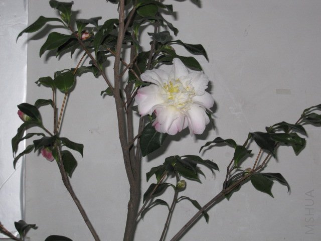 ��Ƭ 030.jpg