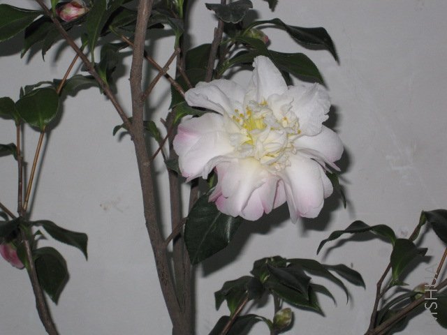 ��Ƭ 027.jpg