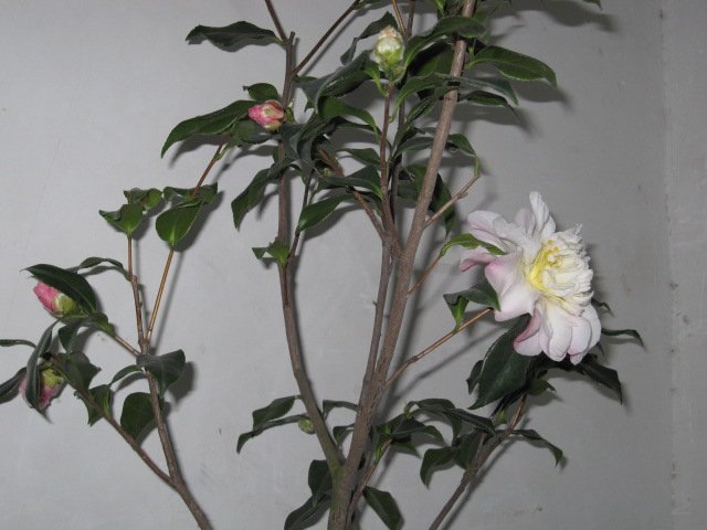 ��Ƭ 026.jpg