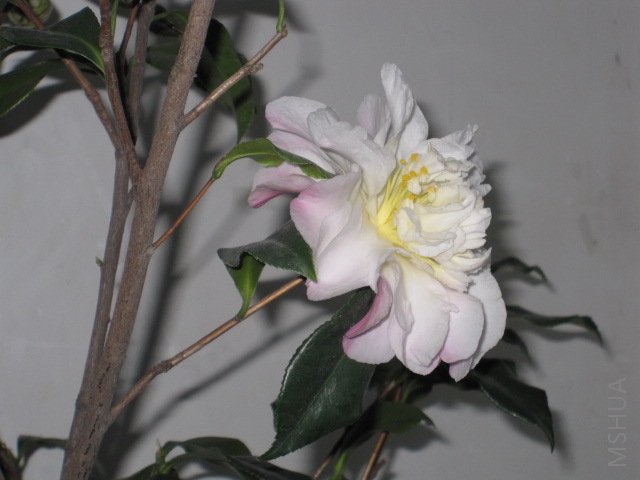 ��Ƭ 025.jpg