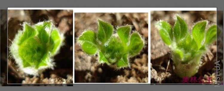 ������������ģ���������ǽ����ĵ�