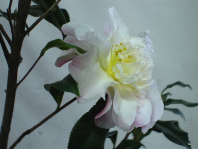 ��Ƭ 022.jpg