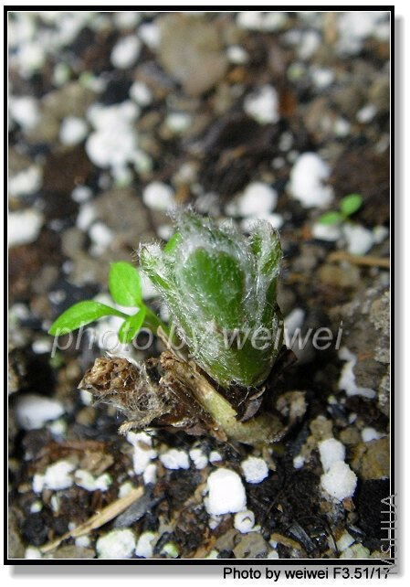 C15-Beauty of Worcester.jpg