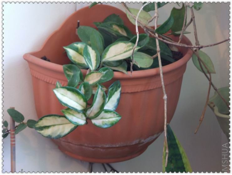 ������С q5a.jpg