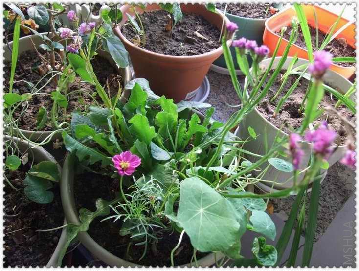 ������С w54.jpg