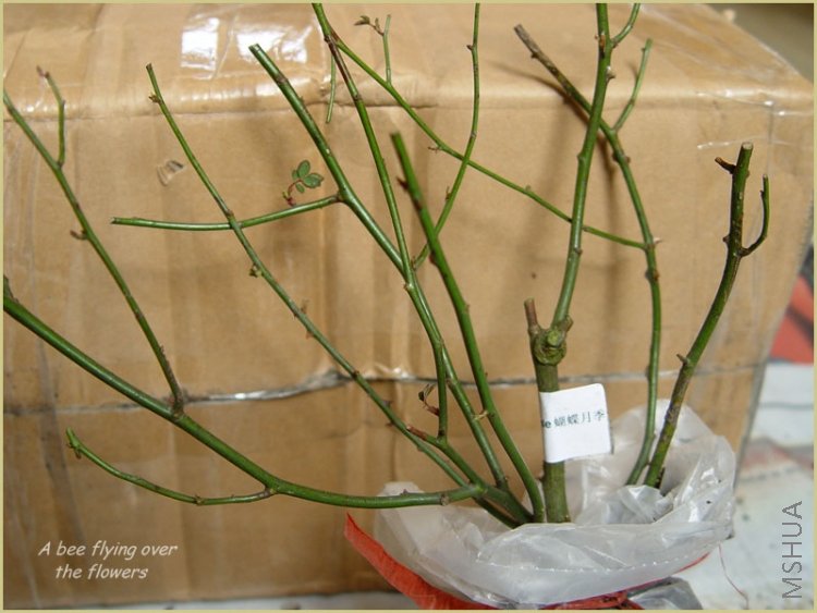 �����¼������������ģ�