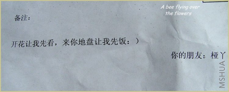 ��Ҷ��������