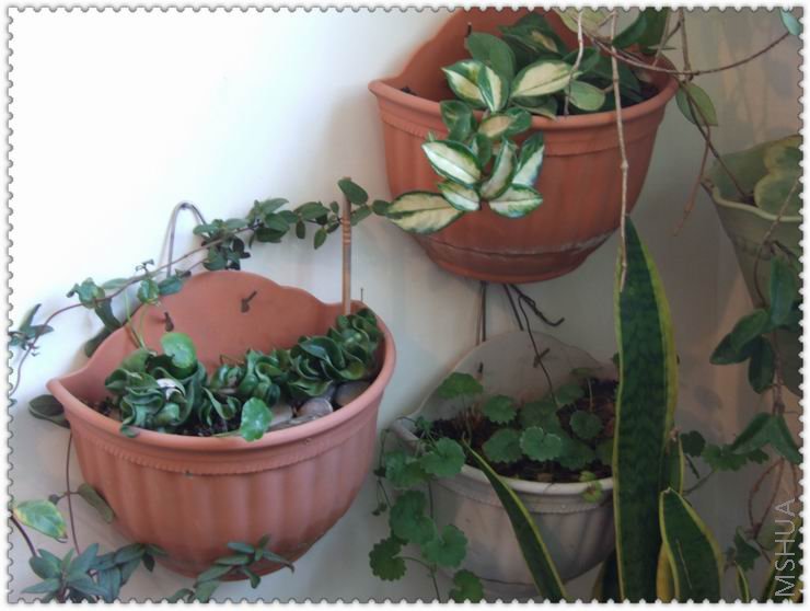 ������С q4a.jpg