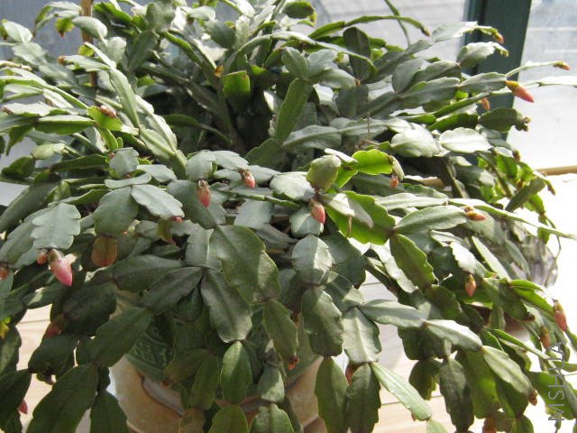 ��һ���ģ�Ҳȫ�ǰ�����