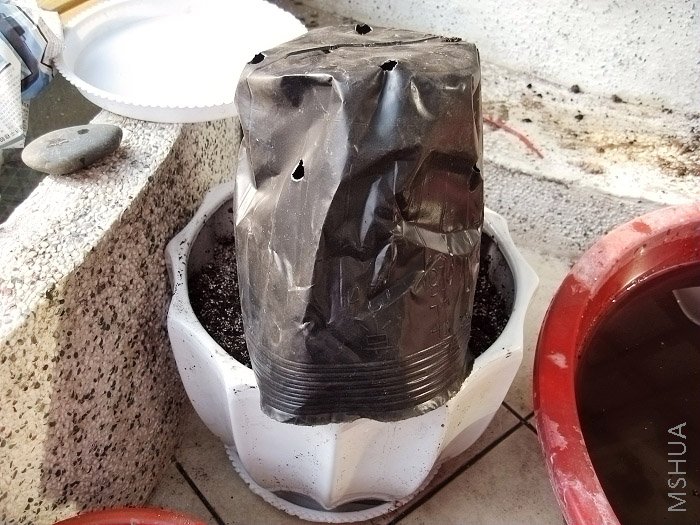 ������4����ɫ������