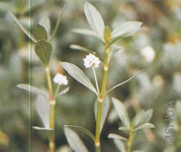 06-kx.jpg