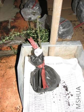 6#����ܿգ��е�����