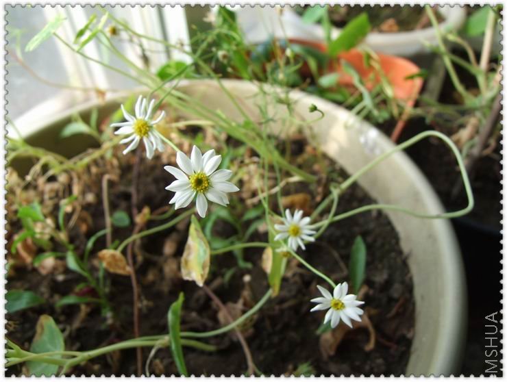 ������С j0.jpg