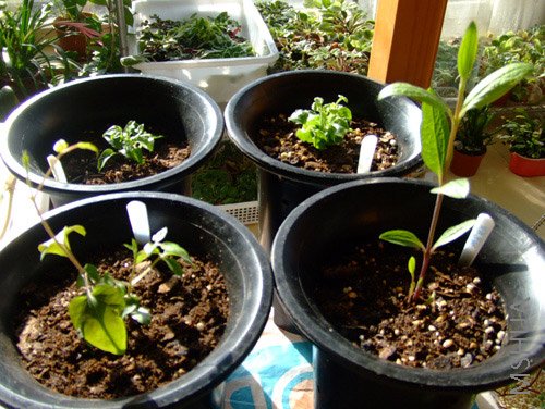 �����Ƕ�