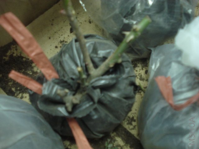 ��֪���ֵ�1