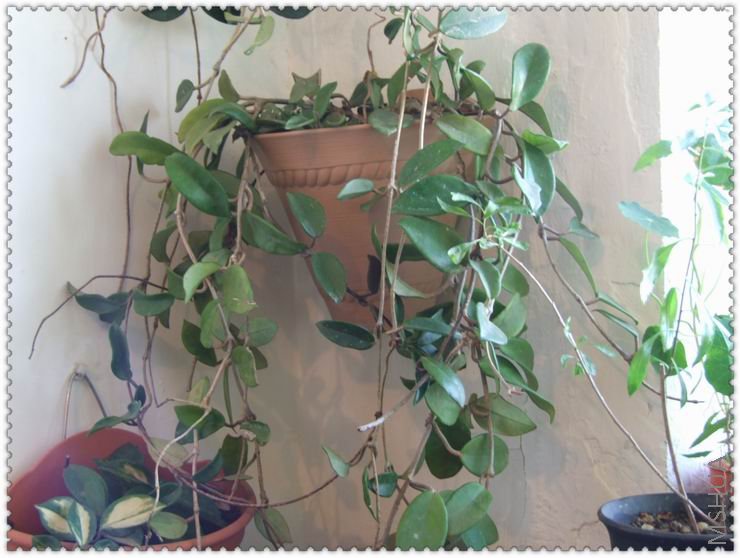 ������С q3a.jpg