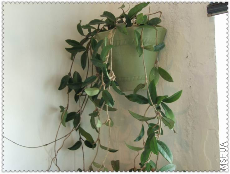 ������С q2a.jpg