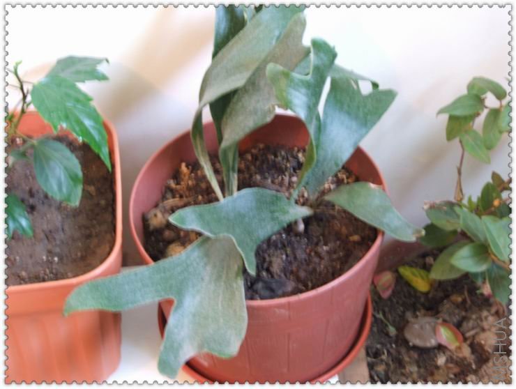 ������С zz007.jpg