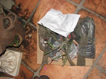 ���е��¼���ȫ�������һ��Ӳֽ����