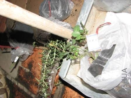 ����һ��������15#