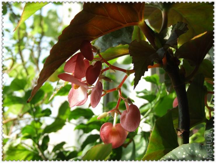 ������С h147.jpg