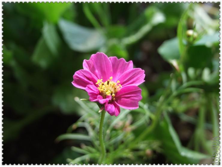 ������С zb1.jpg