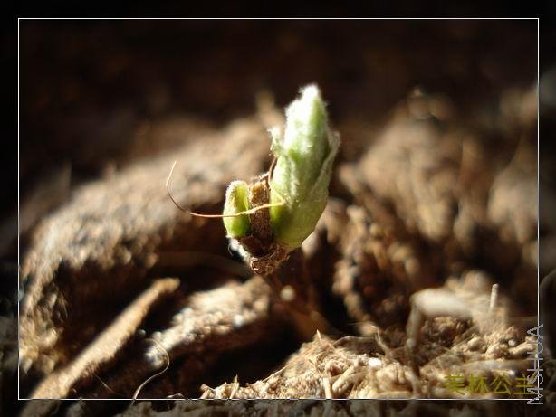 ���������ƺ��е㶯����