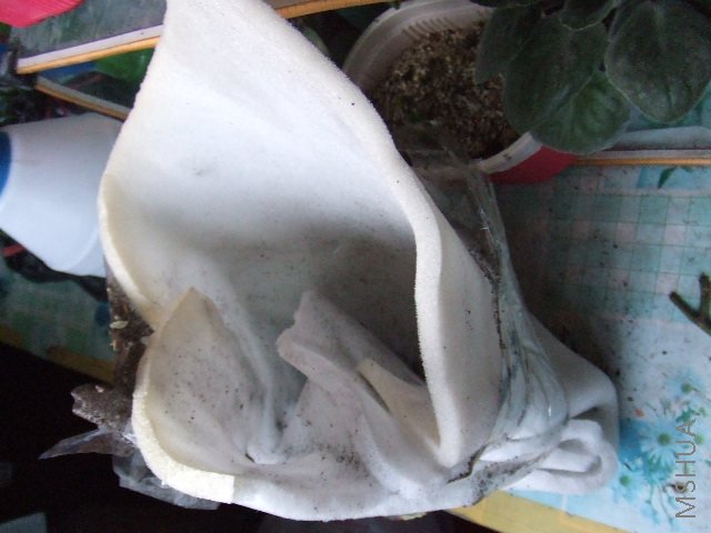 ���汣�´�