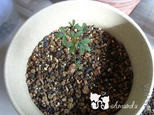 ����3~~.jpg ����.jpg