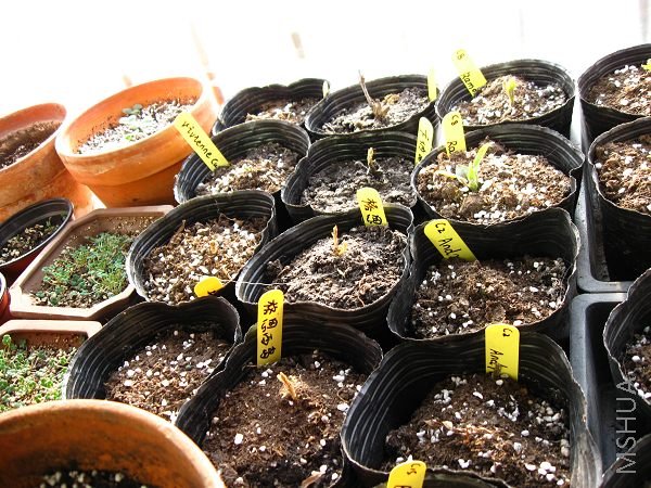 ����������