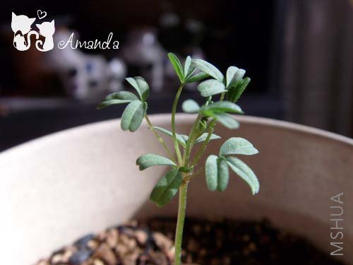 ����1~~.jpg ����.jpg