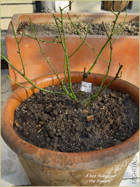 �����¼�