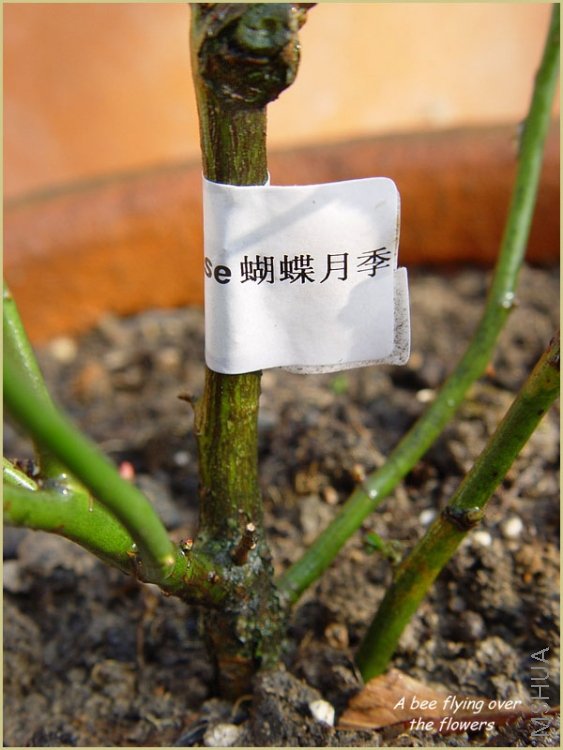 �����¼�