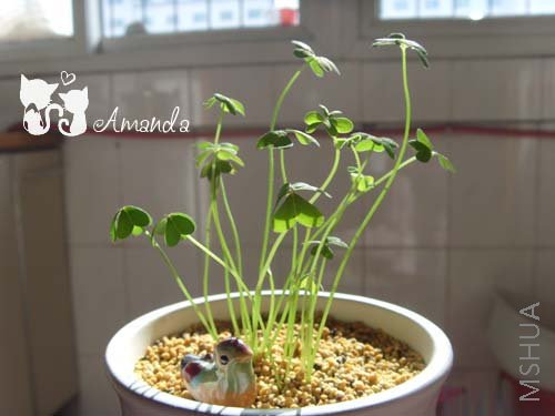 ������1~~.jpg ����.jpg