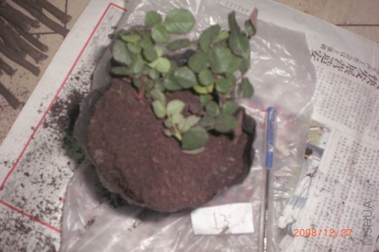 ��һ��13��