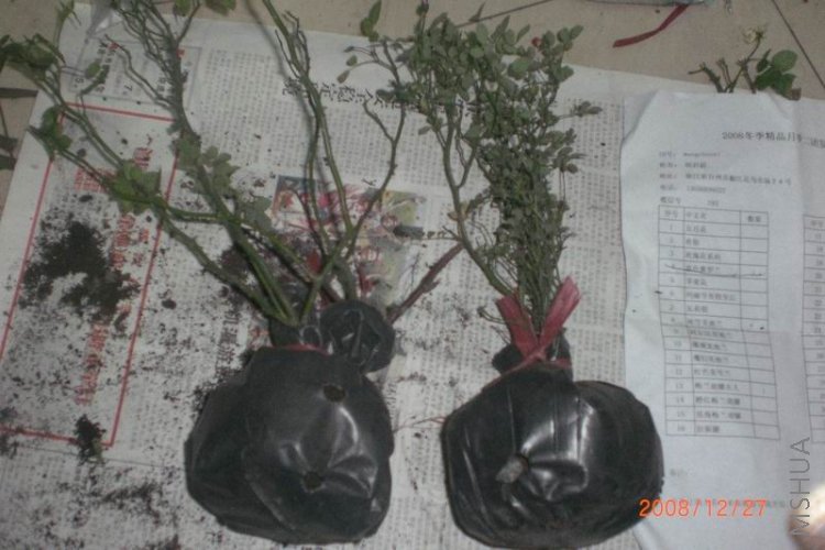 18��19���ö�û����ǵ���������