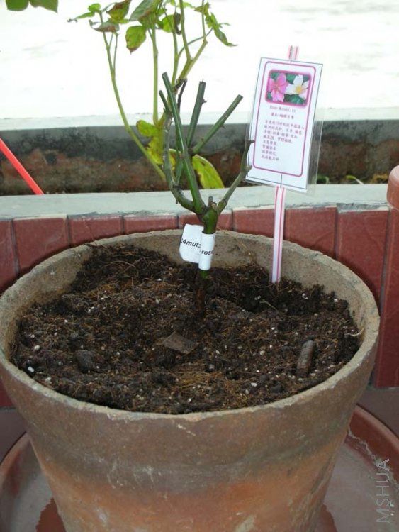 24 �����¼�.jpg