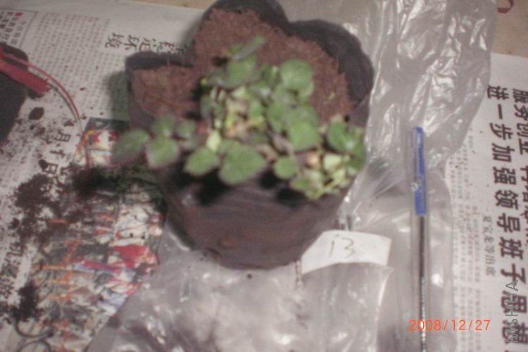 �򿪵ڶ���13��