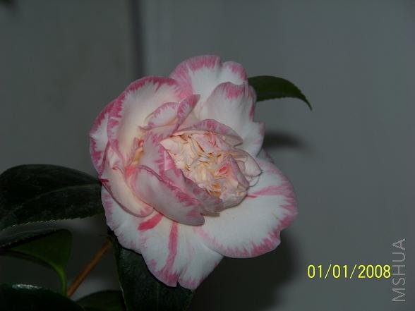 100_1024.JPG