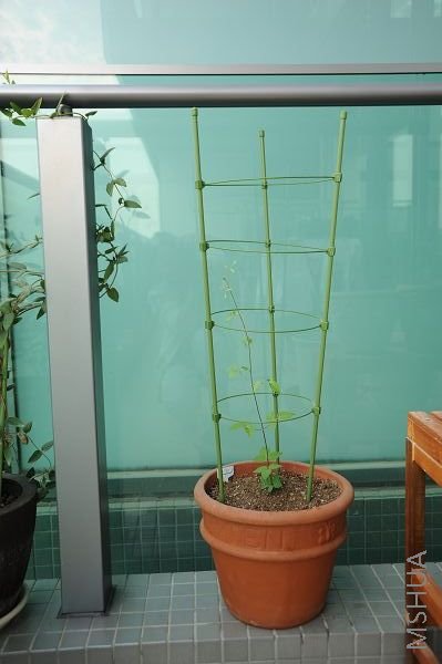 20081227�������� (1).JPG