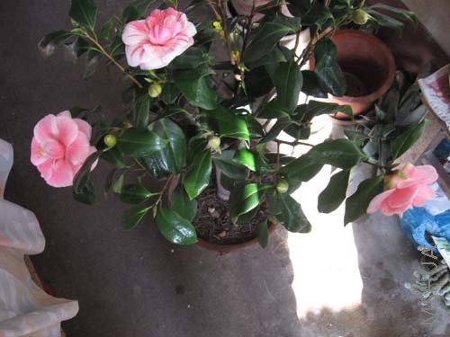 ��Ƭ 042.jpg