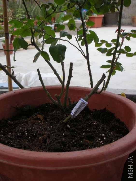 10 ɺ�������m.jpg