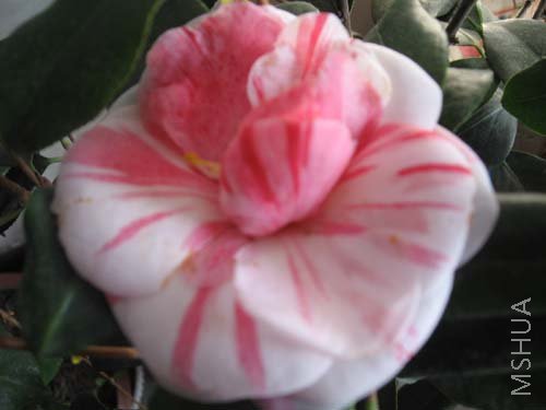 ��Ƭ 048.jpg