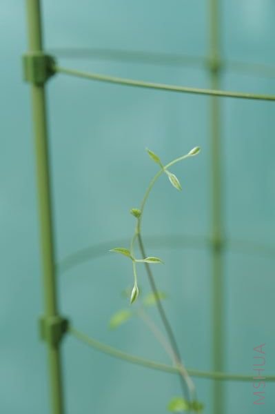 20081227�������� (2).JPG