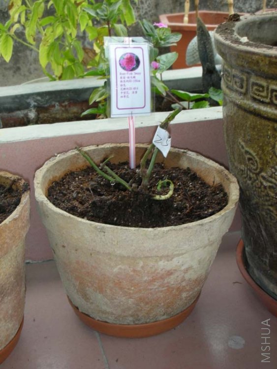 25 �����Z.jpg